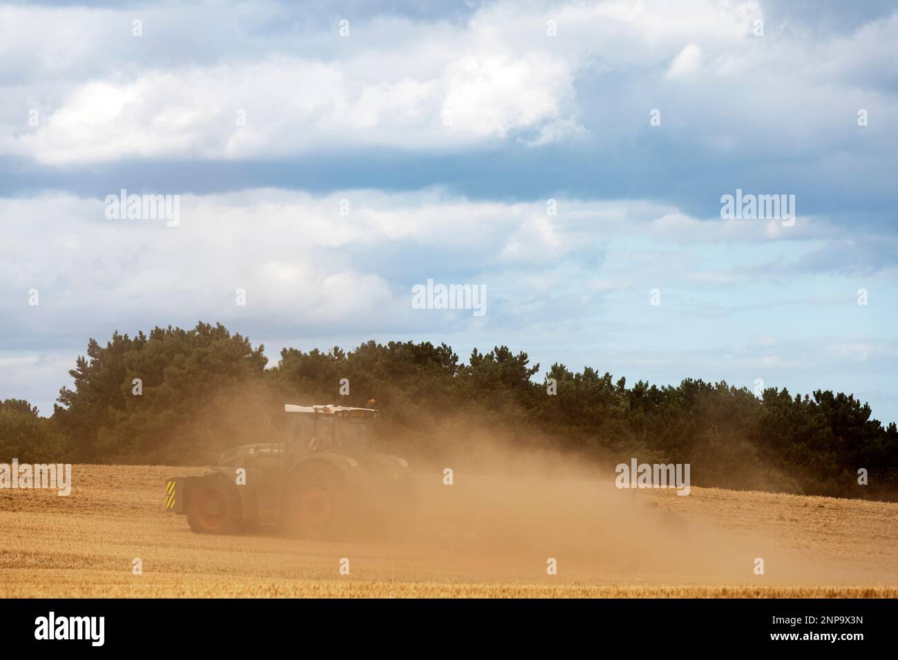 Agricoltura durante la calda estate del 2022 Bawdsey Suffolk Inghilterra Foto Stock