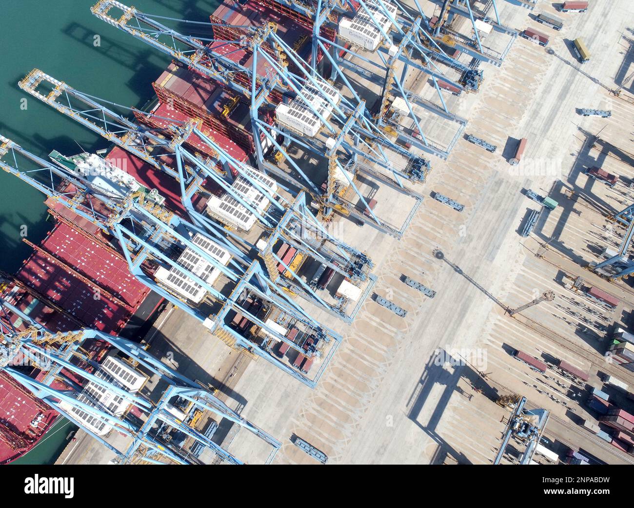 QINGDAO, CINA - 26 FEBBRAIO 2023 - la nave container a doppia potenza ZIM SAMMY OFER carica il carico al terminal completamente automatizzato di Qingdao Port, E. Foto Stock