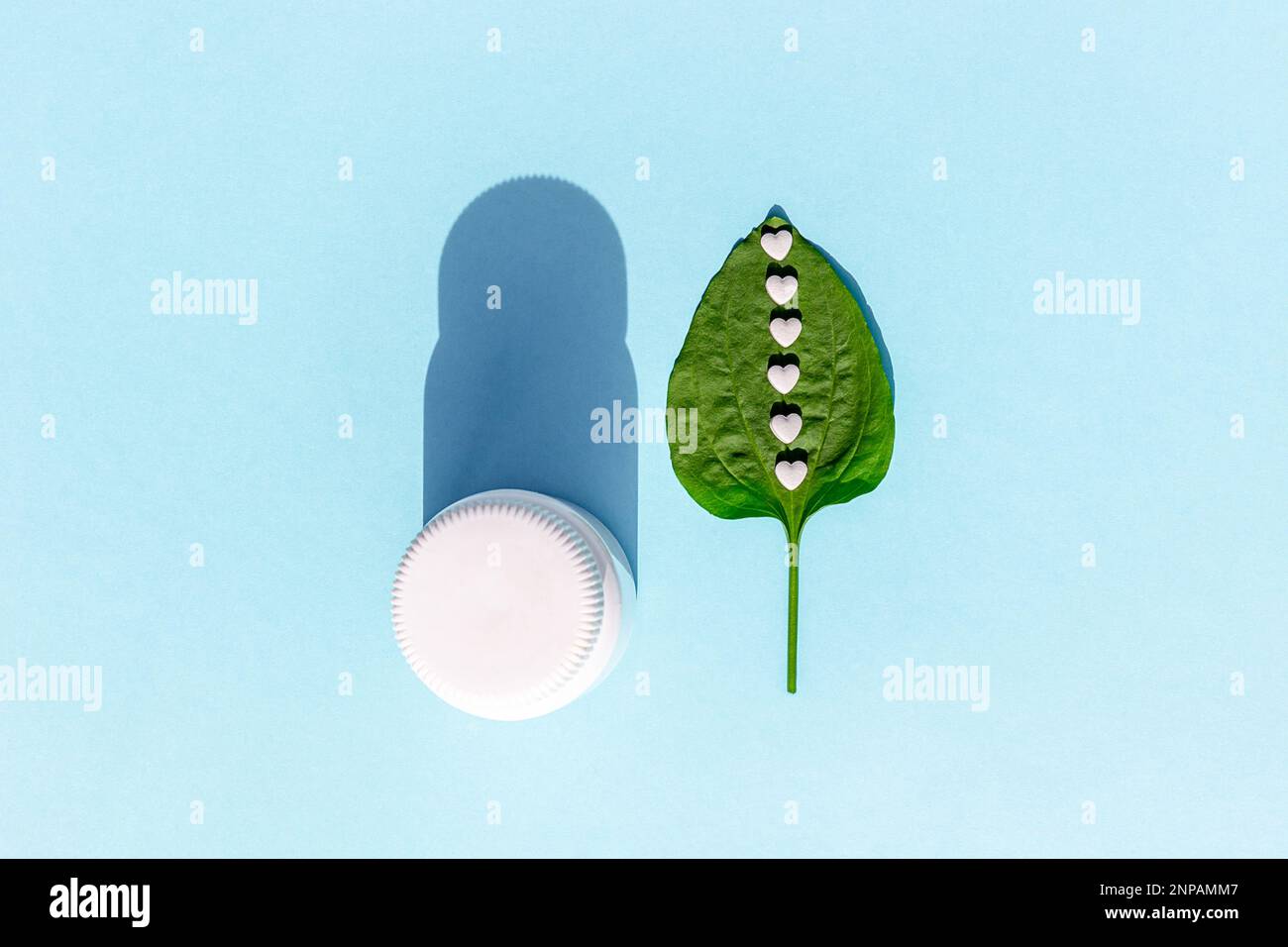 Pillole bianche su foglia verde di plantano e di bottiglia su sfondo blu. Omeopatia, naturopatia, nutraceutica e concetto di assistenza sanitaria. Vista dall'alto Flat Lay Foto Stock
