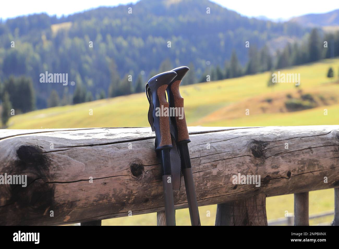 due bastoni da trekking parcheggiati su una ringhiera Foto Stock