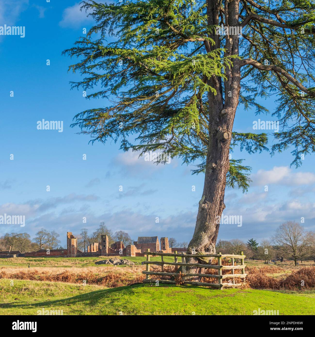 Le rovine di Bradgate House nel Leicestershire. Foto Stock