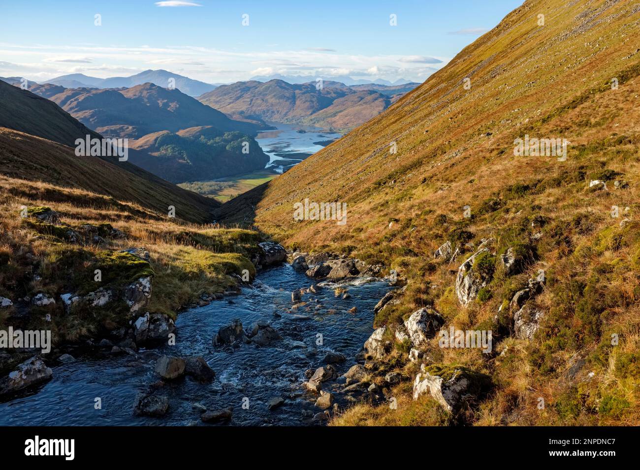 Il torrente Allt a choire Mhoir che scorre verso Loch Long. Foto Stock