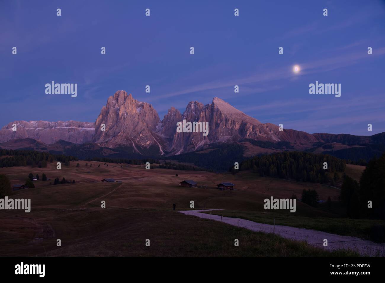 L'Alpe di Siusi (in italiano: Alpe di Siusi, Ladino: Mont Sëuc) è un altopiano dolomitico e il più grande prato alpino d'alta quota (in tedesco: Alm) d'Europa. Posizione Foto Stock