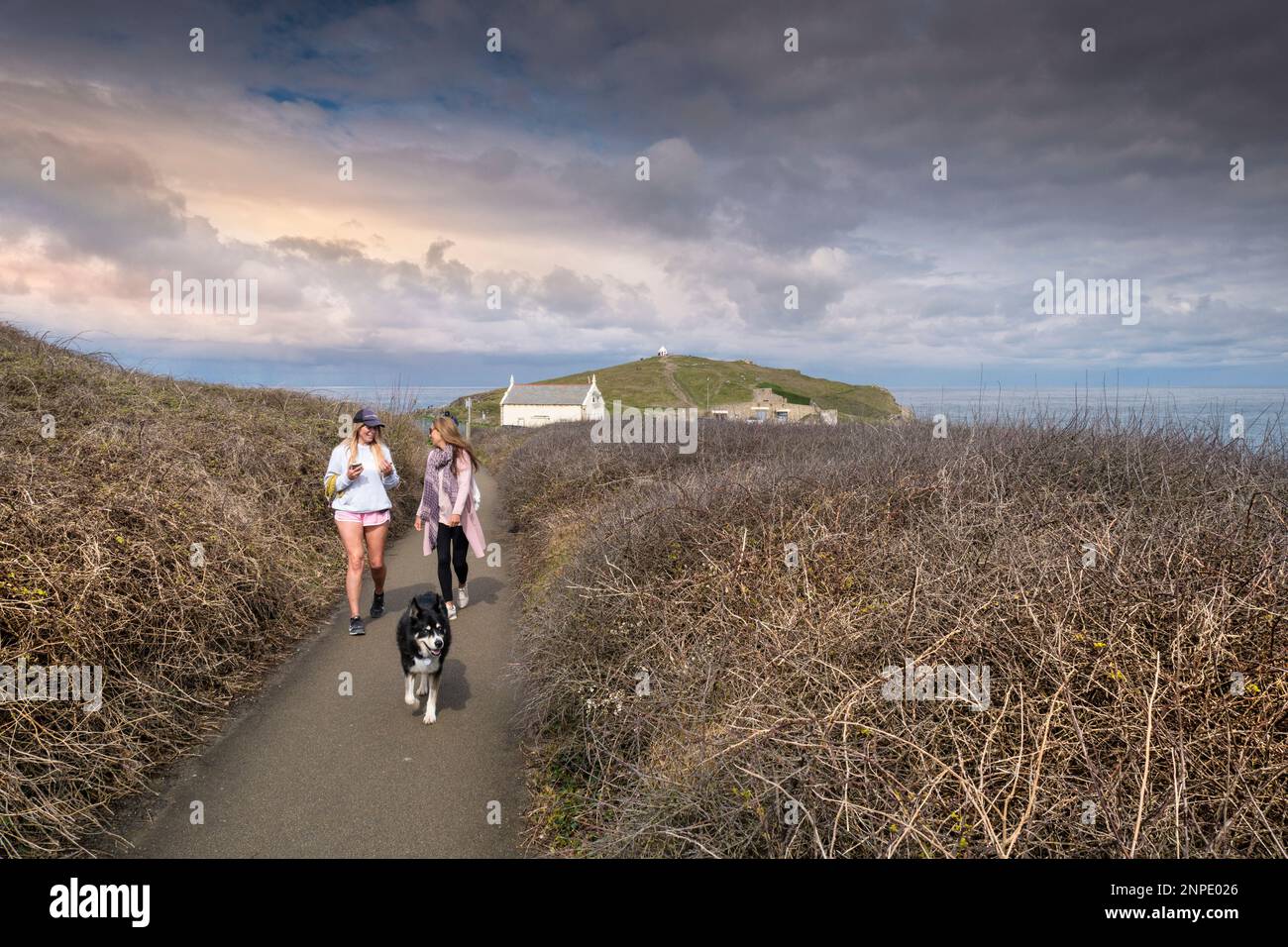 Camminatori di cani e un cane che si gode una passeggiata sul sentiero costiera intorno a Newquay in Cornovaglia nel Regno Unito. Foto Stock