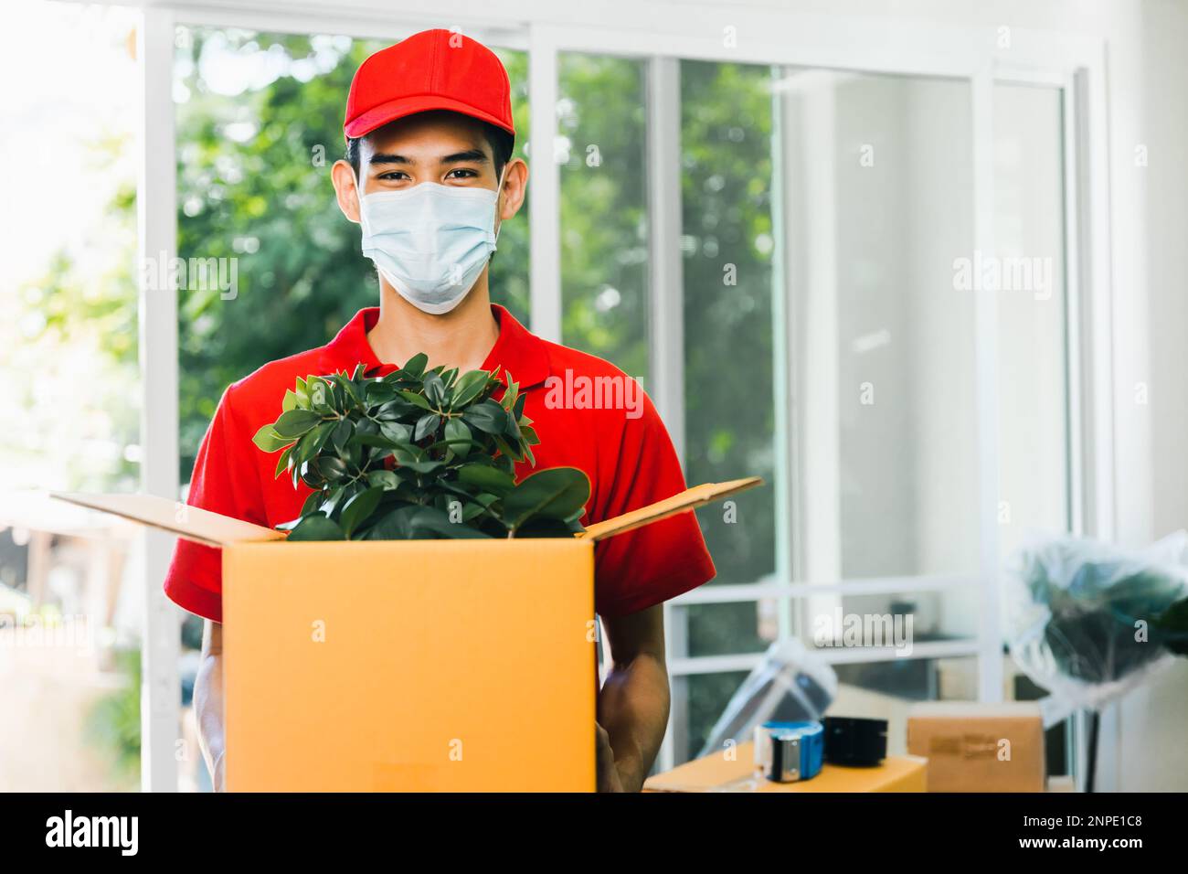 Consegna Asiatica ricevere o transito e consegna di piccoli alberi pianta, albero negozio PMI e iniziare a lavorare Foto Stock