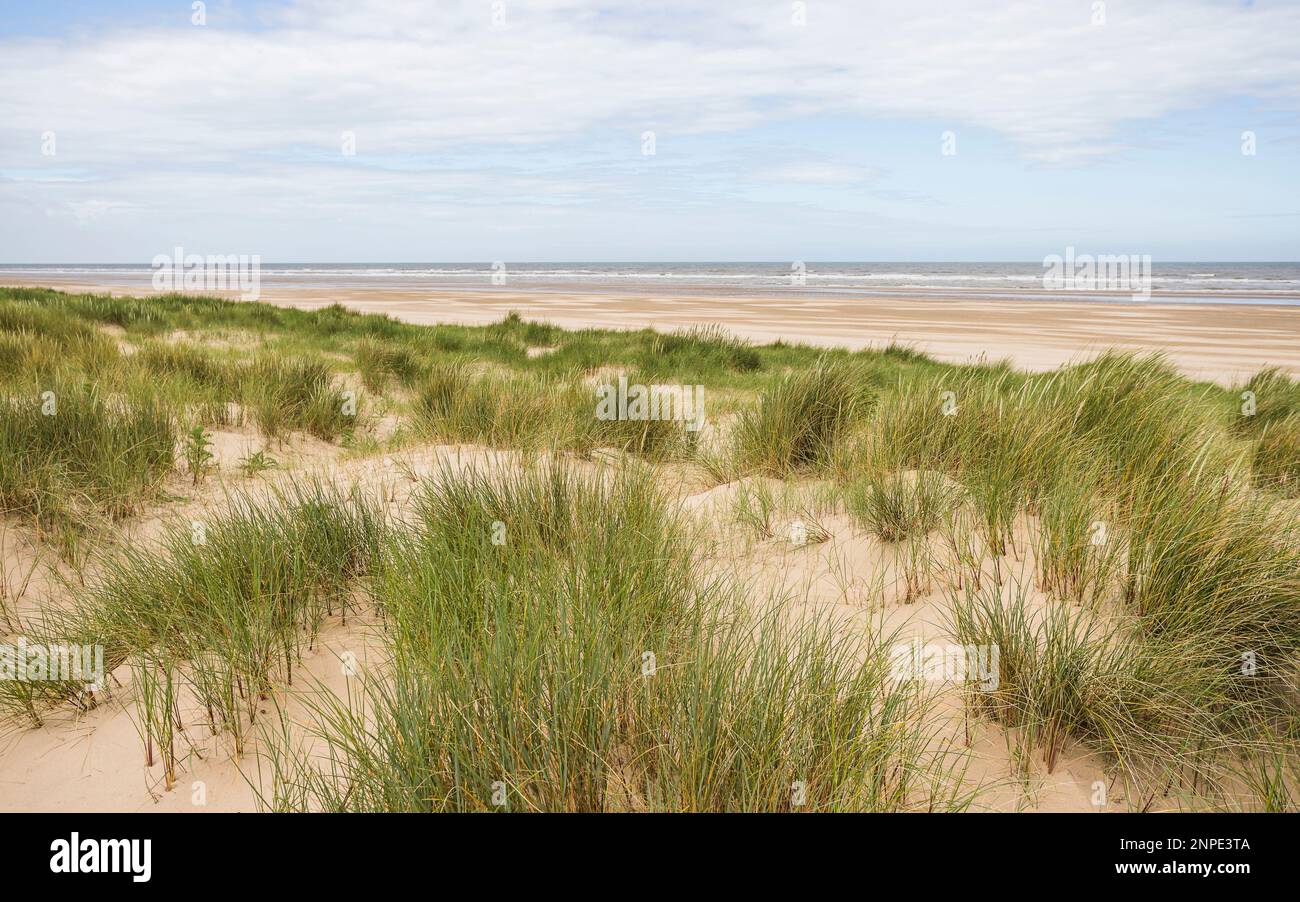 Spiaggia di Ainsdale raffigurata sopra l'erba del marram sormontata dalle dune di sabbia sulla costa di Sefton vicino a Southport. Foto Stock