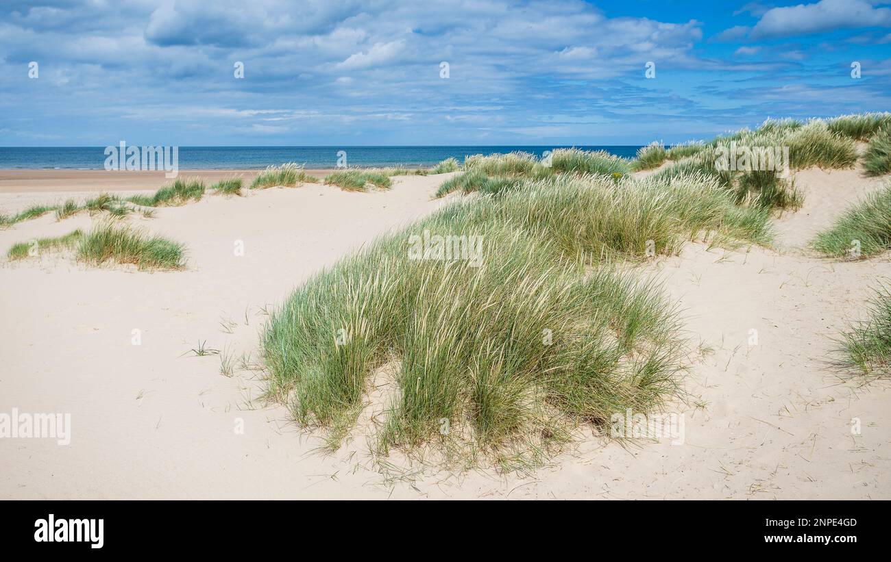 Le dune di sabbia incontrano la spiaggia di Holkham sulla costa nord del Norfolk. Foto Stock