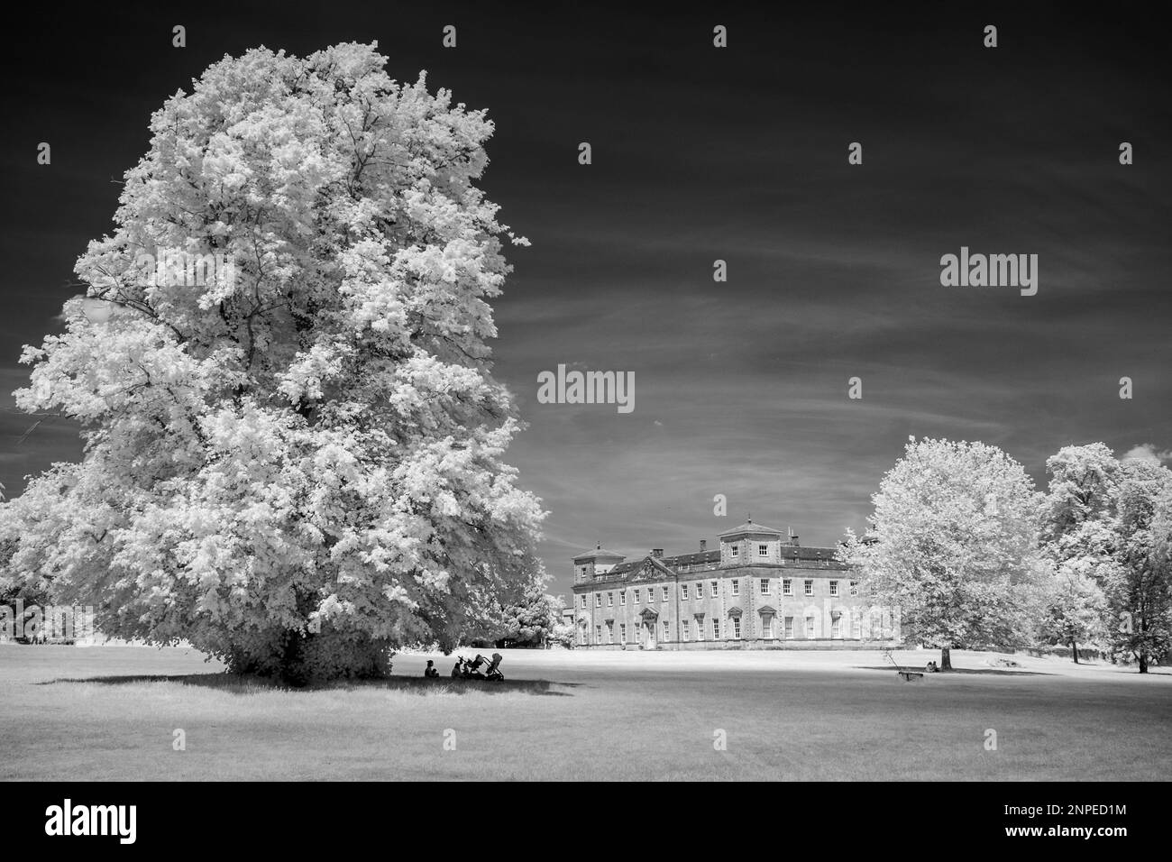 Immagine a infrarossi in bianco e nero di una casa padronale palladiana e di un parco di campagna. Foto Stock