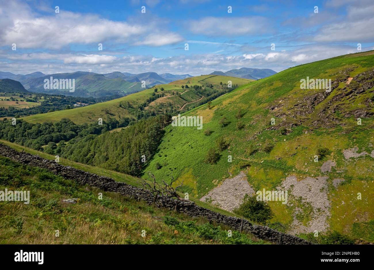 La vista da Blease cadde verso Lonscale e Latrigg in estate. Foto Stock