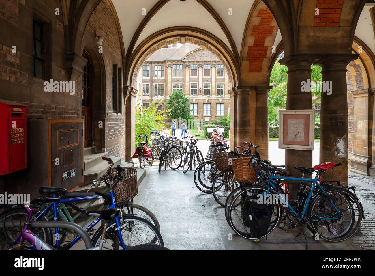 Ingresso al Museo di Archeologia e Antropologia di Cambridge. Foto Stock