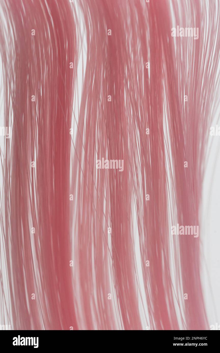 Colore rosa capelli dritti texture macro vista ravvicinata isolato Foto Stock