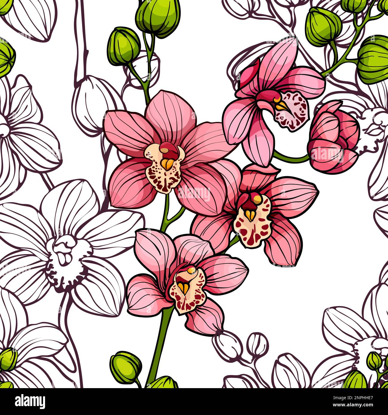 Orchidee rosa su sfondo bianco, motivo vettoriale senza cuciture. illustrazione disegnata a mano. Illustrazione Vettoriale