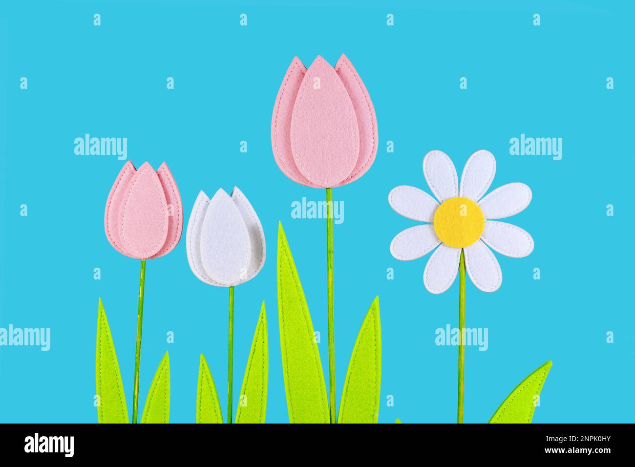 Tulipano feltro e fiori di primavera margherite sul lato di sfondo blu Foto Stock
