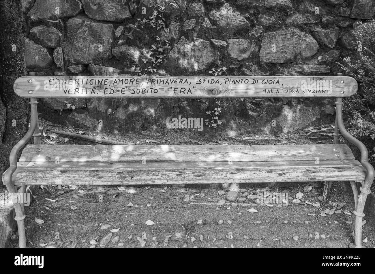 Caratteristica panca lignea sul lungomare di Merano - Tappeinerweg. Merano in Alto Adige, provincia di Bolzano, Trentino Alto Adige, Italia Foto Stock