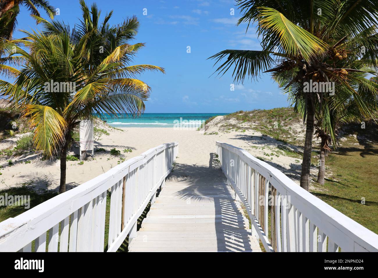 Vista pittoresca sulla spiaggia tropicale con sabbia bianca e palme da cocco. Sentiero in legno per la costa dell'oceano, località turistica sull'isola dei Caraibi Foto Stock
