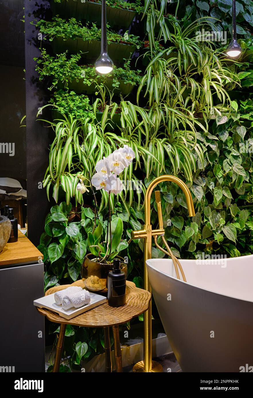 Lussuoso bagno interno in spa con giardino verticale, vasca in moderno salone di bellezza. Parete di piante verdi, fiori e vasca da bagno in hotel. Concetto di natura, Foto Stock