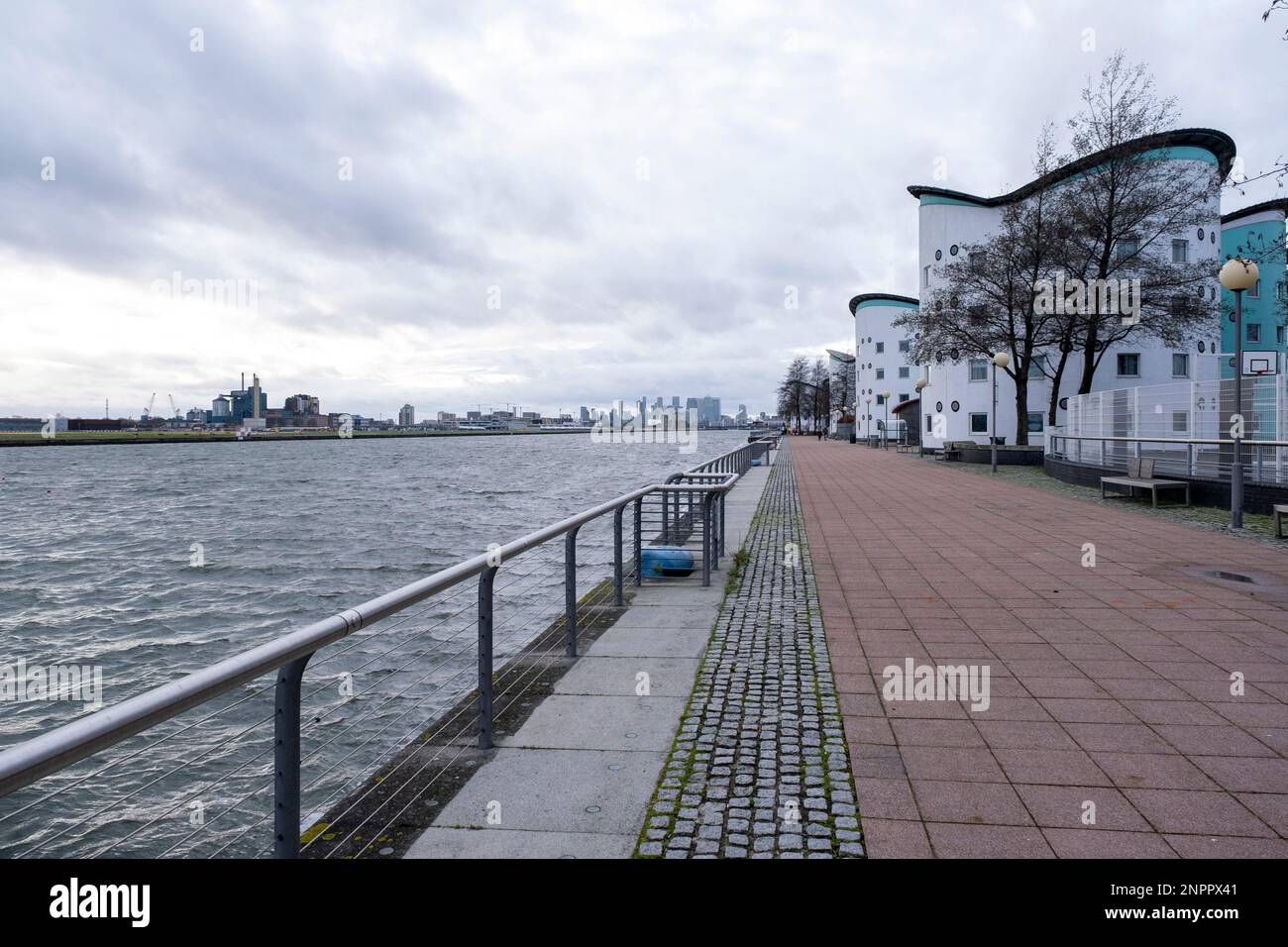 Vista sul Royal Albert Dock presso l'East London University verso il quartiere finanziario di Canary Wharf il 14th gennaio 2023 a Londra, Regno Unito. Il Royal Albert Dock è uno dei tre moli del Royal Group of Docks di East London nel Regno Unito, attualmente in fase di ristrutturazione. Canary Wharf è un'area situata vicino all'Isola di Dogs nel London Borough of Tower Hamlets ed è definita dalla Greater London Authority come parte del quartiere centrale degli affari di Londra. Insieme alla City di Londra, costituisce uno dei principali centri finanziari del Regno Unito e del worl Foto Stock