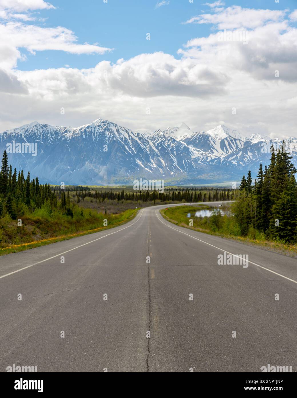 Durante la primavera, potrai ammirare incredibili panorami su strada che si dirigono verso Haines Junction. Foto Stock