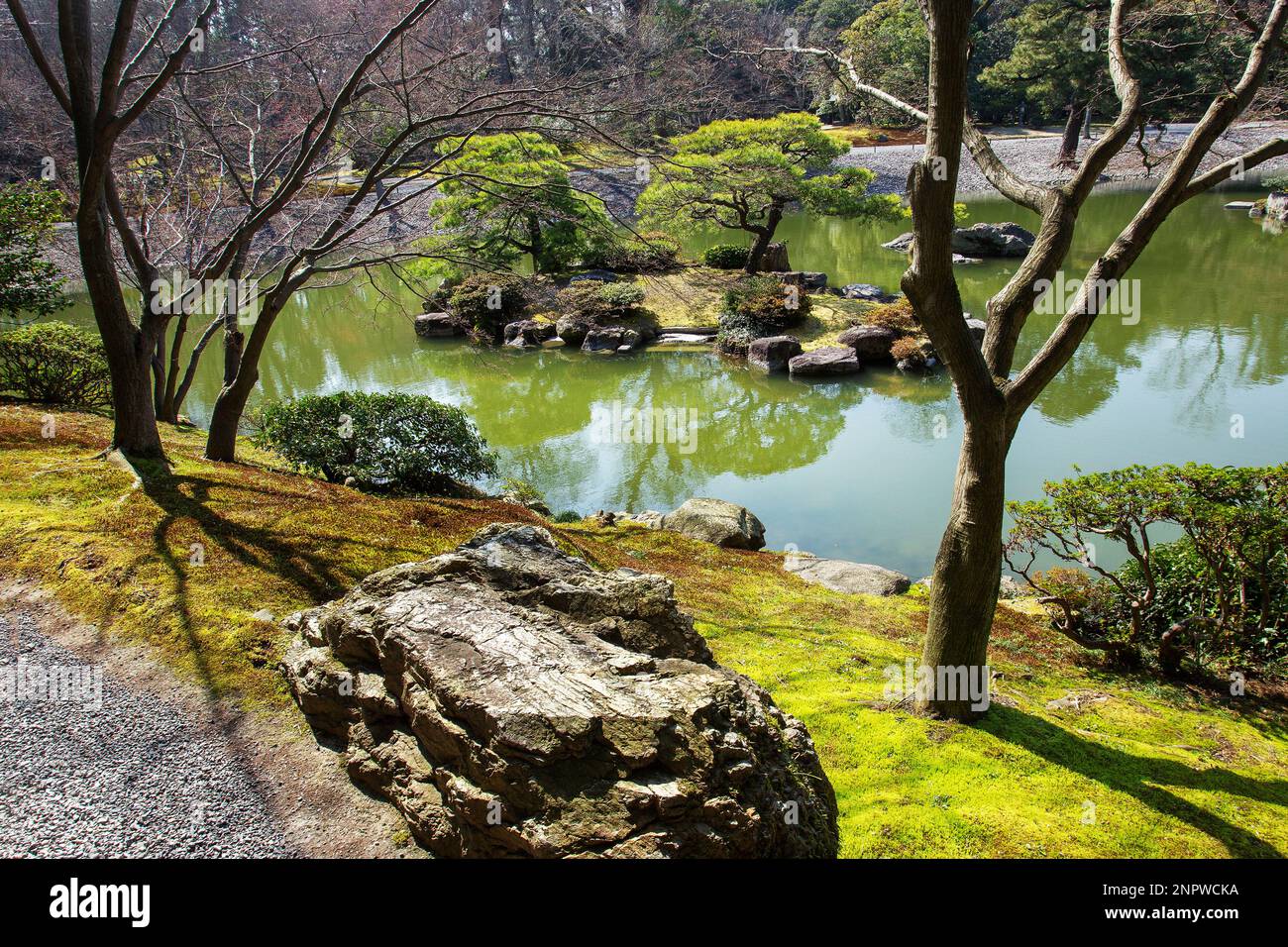 Incredibile piccola isola nel giardino del Palazzo Imperiale di senso a Kyoto: 2 pini e muschio su di essa. La riva del laghetto in lontananza consiste Foto Stock