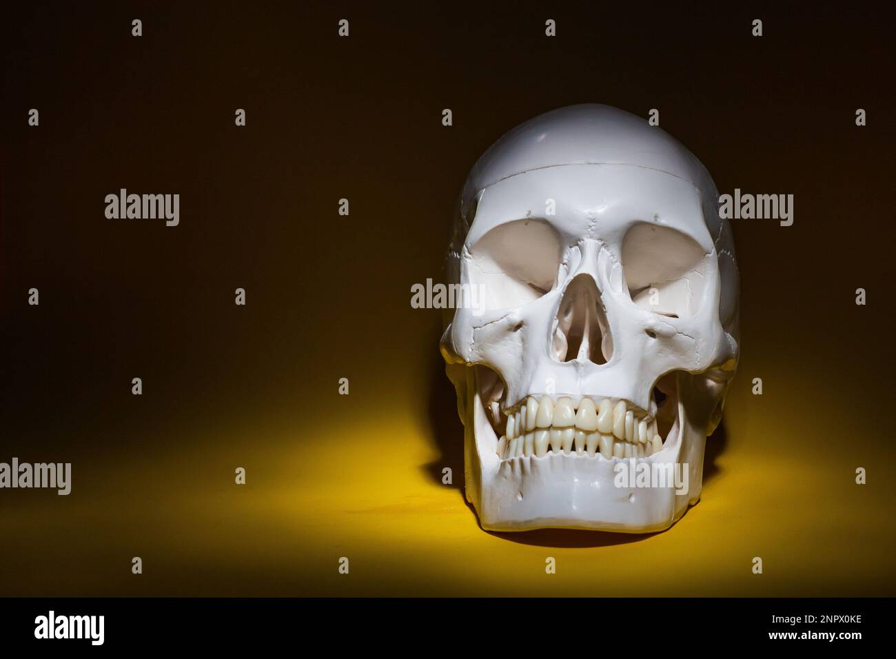 cranio umano, scheletro di ossa con denti, un oggetto, una misteriosa luce bianca pulita, puntiforme, in piedi sulla superficie di uno sfondo giallo. concetto o Foto Stock