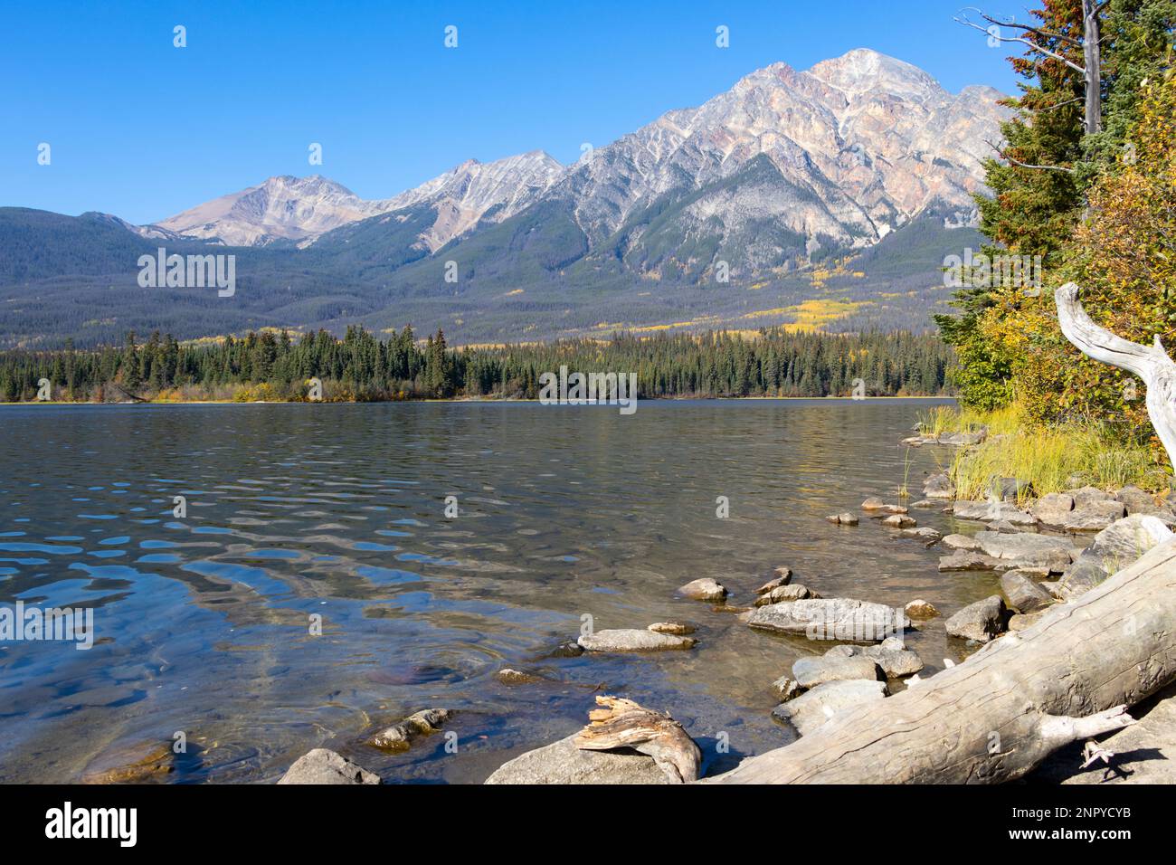 Colori autunnali che si affaccia sul lago in montagna Jasper Foto Stock