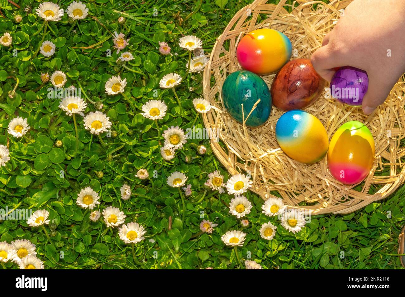 Raccolta di uova colorate da children.Easter Egg Hunt. La tradizione delle vacanze pasquali. Bambino raccogliere le uova di Pasqua dipinte nel Garden.Spring religiosi Foto Stock