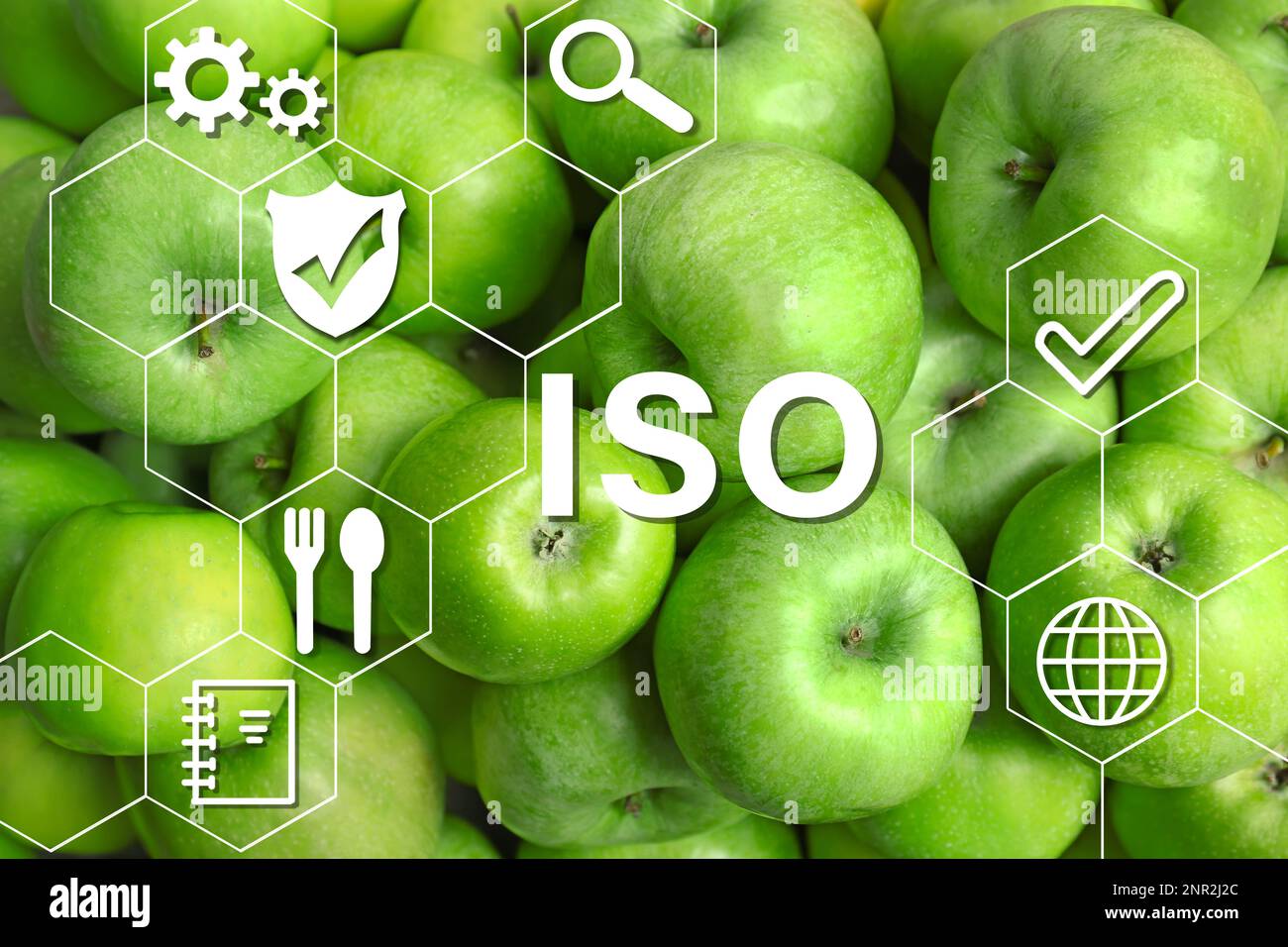 ISO 22000 - Gestione della sicurezza alimentare. Mele verdi fresche come sfondo Foto Stock