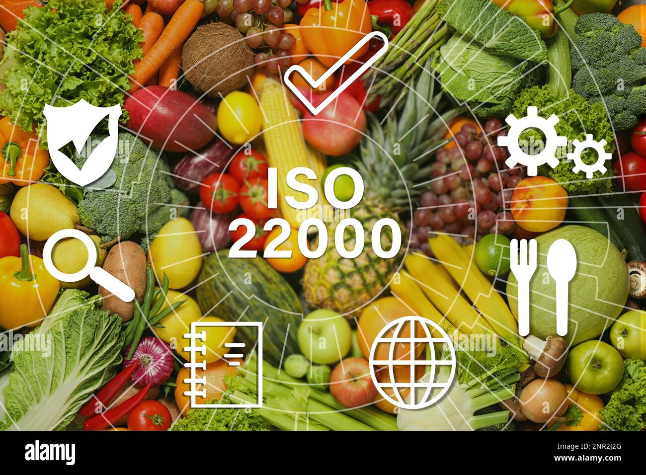 ISO 22000 - Gestione della sicurezza alimentare. Assortimento di frutta e verdura fresca biologica come sfondo, vista dall'alto Foto Stock