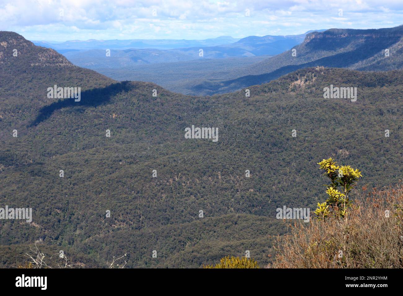 Paesaggio della vasta natura selvaggia del Parco Nazionale delle Blue Mountains, NSW, Australia. Foto Stock