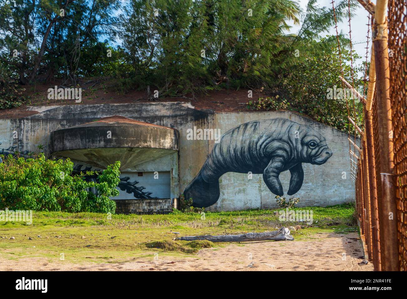 Abbandonare gli Stati Uniti Esercito Fort Amezquita's Gun Bunkers San Juan Puerto Rico Foto Stock