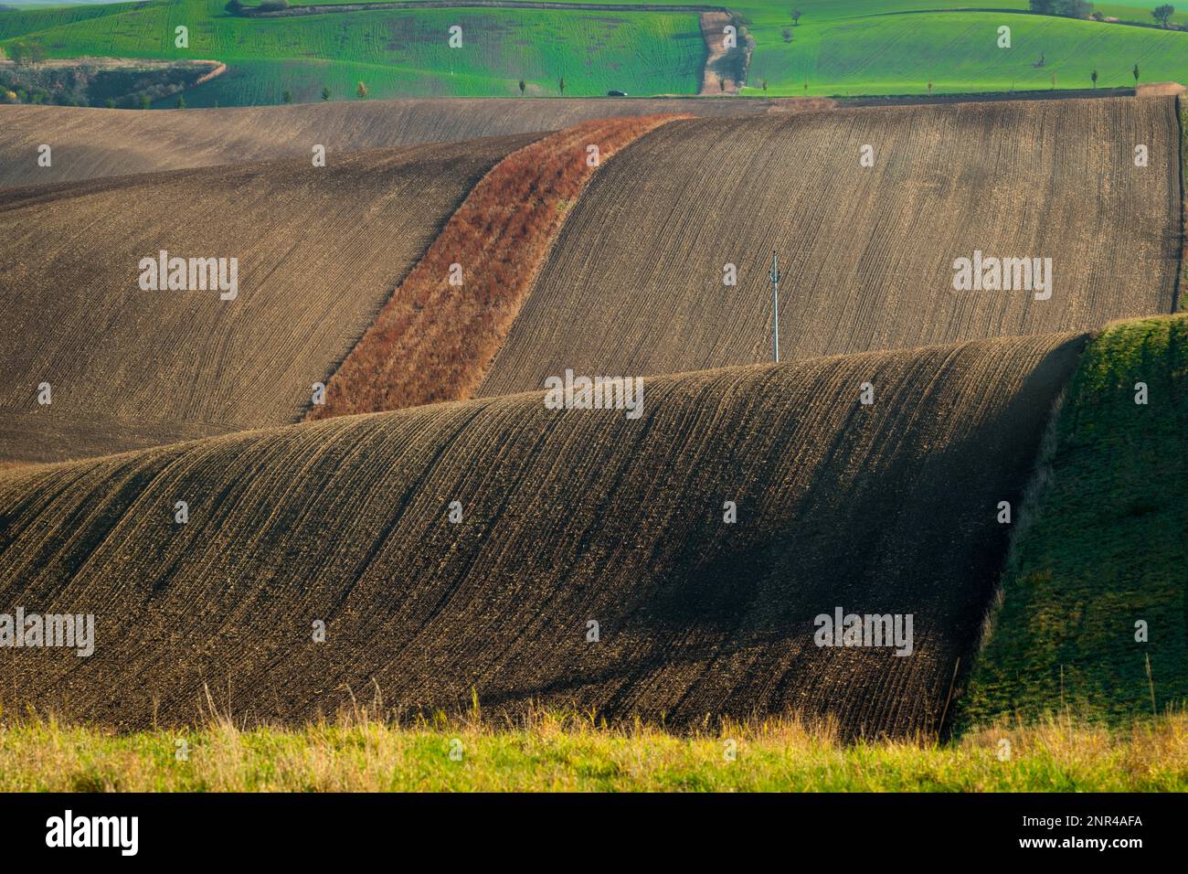 Splendido paesaggio aspro di campi moravi arati nella stagione autunnale. repubblica Ceca, Moravia, Repubblica Ceca Foto Stock