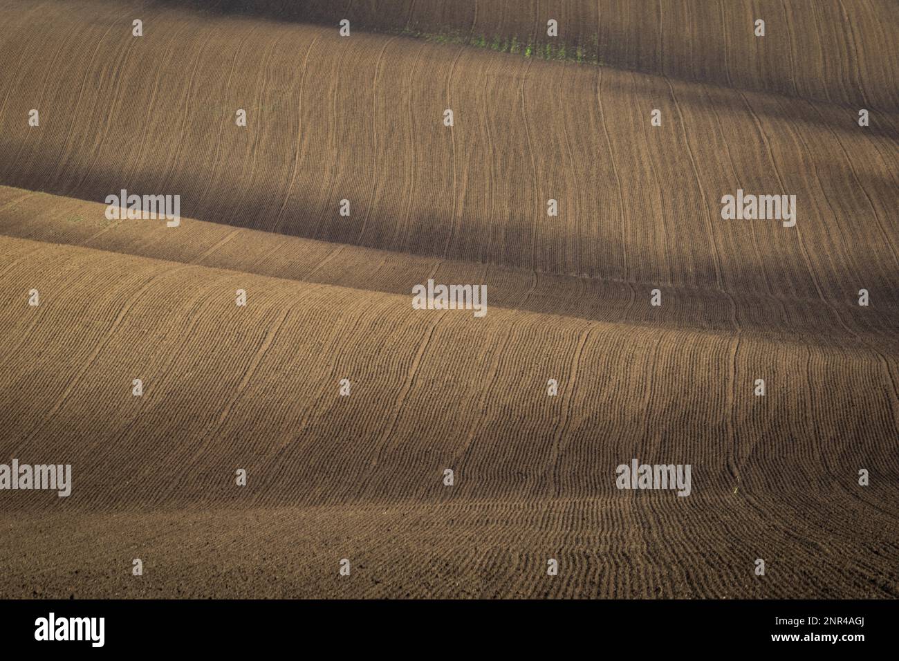 Splendido paesaggio aspro di campi moravi arati nella stagione autunnale. repubblica Ceca, Moravia, Repubblica Ceca Foto Stock