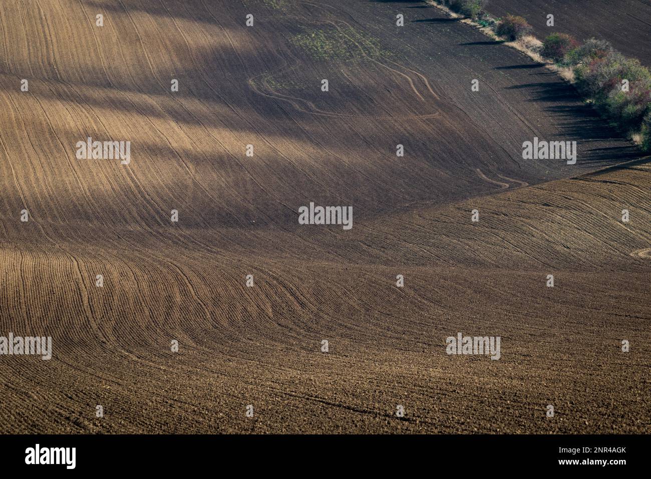 Splendido paesaggio aspro di campi moravi arati nella stagione autunnale. repubblica Ceca, Moravia, Repubblica Ceca Foto Stock