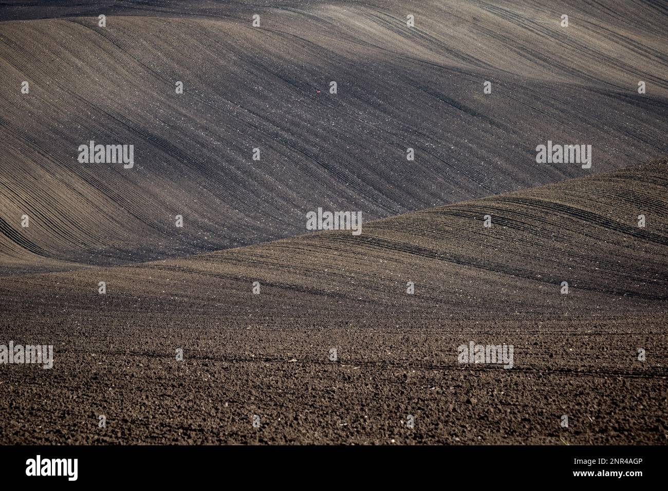 Splendido paesaggio aspro di campi moravi arati nella stagione autunnale. repubblica Ceca, Moravia, Repubblica Ceca Foto Stock