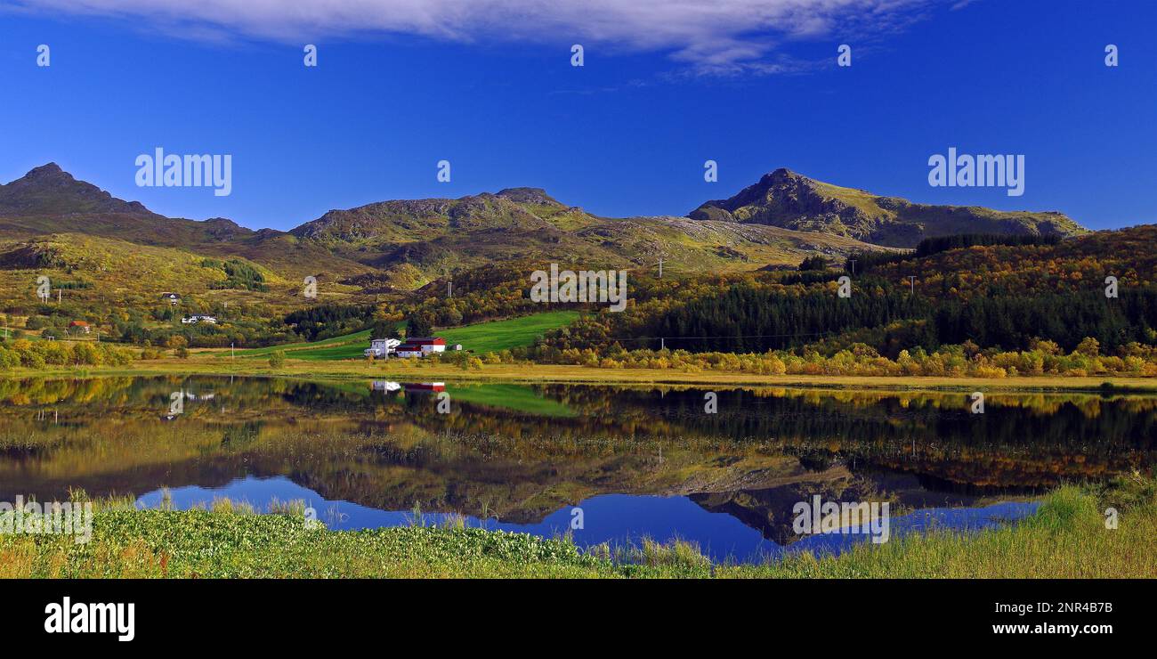 Foreste e montagne di colore autunnale riflesse in un lago, idillio autunnale, pace, silenzio, Leknes, Austvagsoya, Provincia di Nordland, Norvegia, Europa Foto Stock
