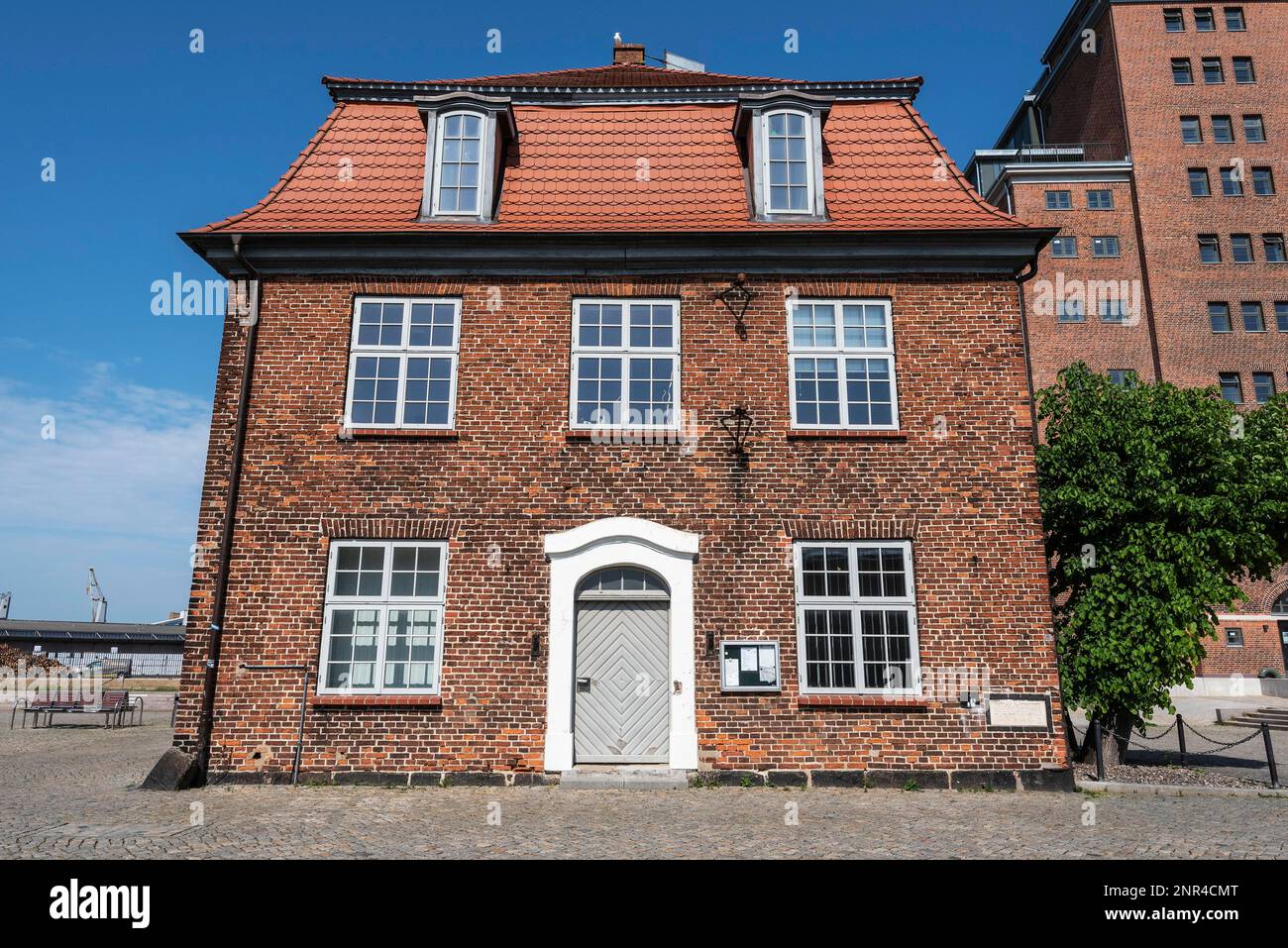 Casa sugli alberi, edificio storico, porto vecchio, Wismar, Meclemburgo-Pomerania anteriore, Germania Foto Stock