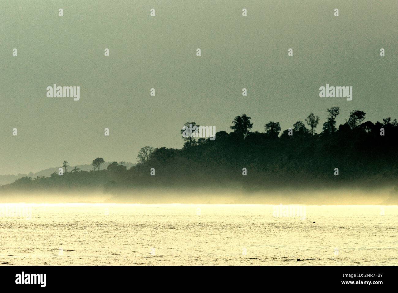 Vista della foresta pluviale di Tangkoko Nature Reserve, Nord Sulawesi, Indonesia. Visto dall'adiacente spiaggia di Batuputih nel villaggio di Batuputih (Batu Putih), il paesaggio fa parte di 94,1 milioni di ettari di foresta pluviale in Indonesia, che è, secondo la Banca Mondiale, la terza foresta pluviale tropicale più grande del mondo. I dati dell'Unione internazionale per la conservazione della natura (IUCN) hanno rivelato che circa il 81% delle aree chiave della biodiversità nel mondo non sono completamente coperte da aree protette. Foto Stock