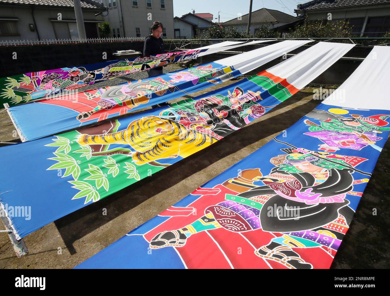 An arisan hang several musha nobori, samurai warriro banner to dry in the sun in Ichiki-Kushikino, Kagoshima Prefecture on Feb. 19, 2020. Peopel celebrate Boy's Day, on May 5th, also called Tango no sekku to hoist the musha banner, wishing children to be strong and healthy. ( The Yomiuri Shimbun via AP Images ) Foto Stock