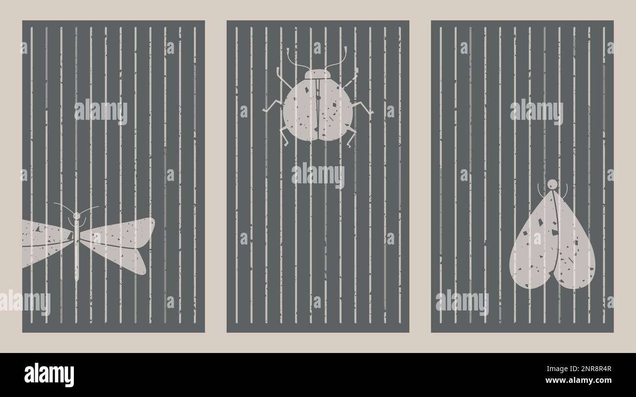 Collezione di poster astratti con silhouette a mezzitoni per insetti. Modelli di banner con sfondo lineare, libellula, falena, bug. Illustrazione Vettoriale
