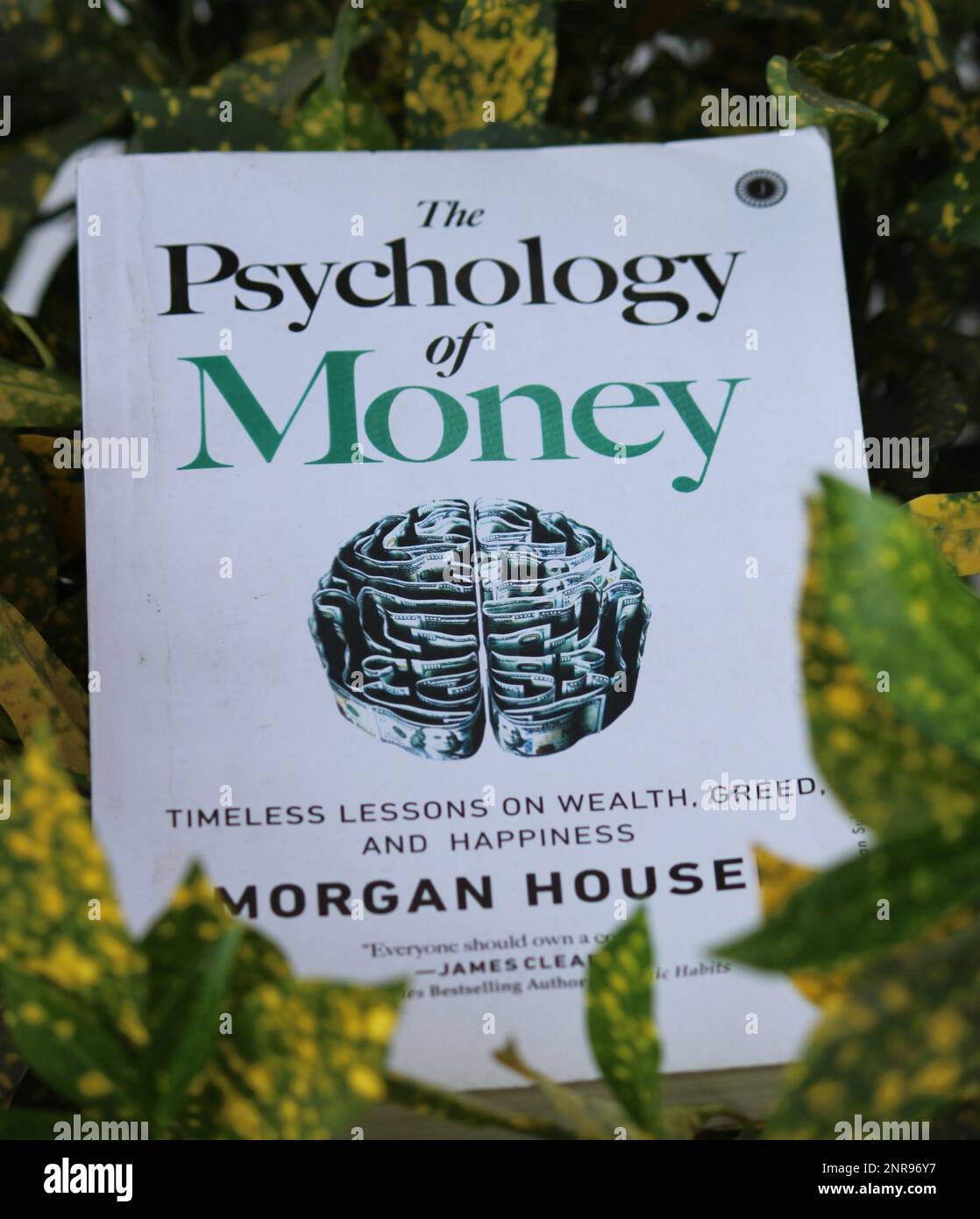 La Psicologia del denaro di Morgan Housel Foto Stock