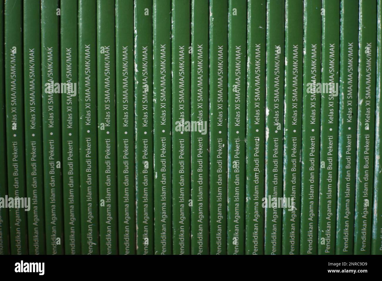 Vista ravvicinata delle copertine dei libri verdi nell'Air Belo Village durante il giorno Foto Stock