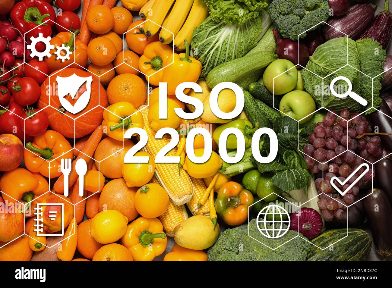 ISO 22000 - Gestione della sicurezza alimentare. Assortimento di frutta e verdura fresca biologica come sfondo, vista dall'alto Foto Stock