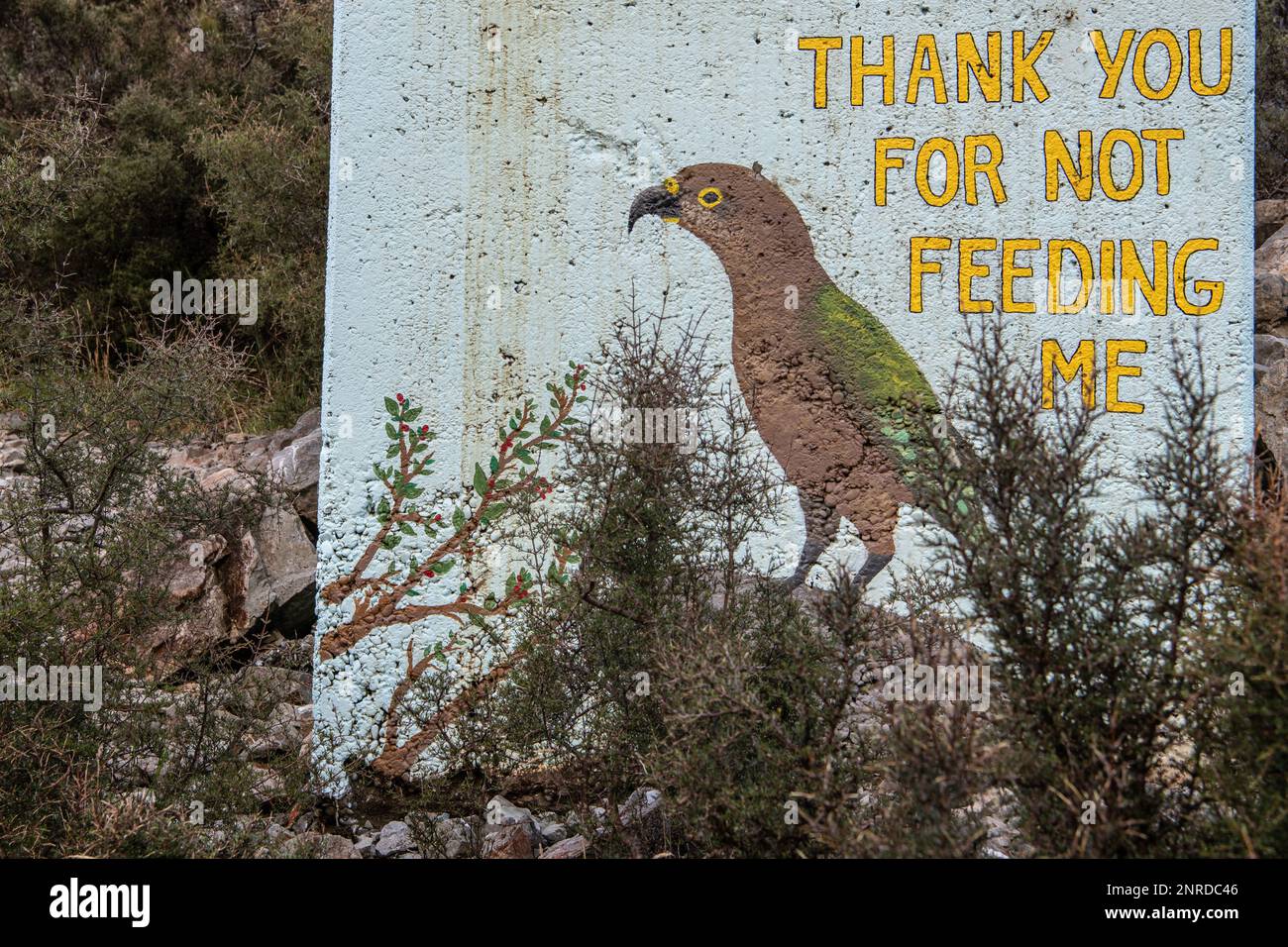 Un murale che chiede di non nutrire i pappagalli di kea nel viadotto di Otira si affaccia sulle Alpi meridionali della Nuova Zelanda. Foto Stock