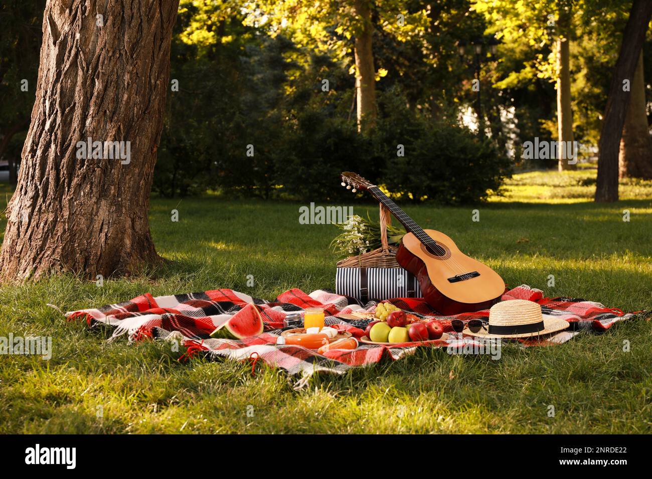 Cestino da picnic, chitarra, cibo e bevande a pagamento nel parco estivo Foto Stock