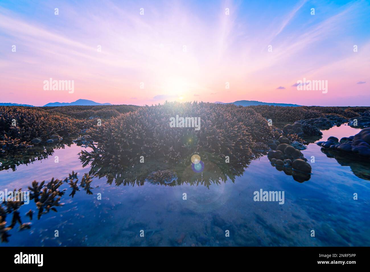 Splendidi tramonti o albe mare incredibile nuvola alla luce dell'alba Sopra la barriera corallina nel mare di Rawai Phuket grave basso coralli di marea che crescono nella sha Foto Stock