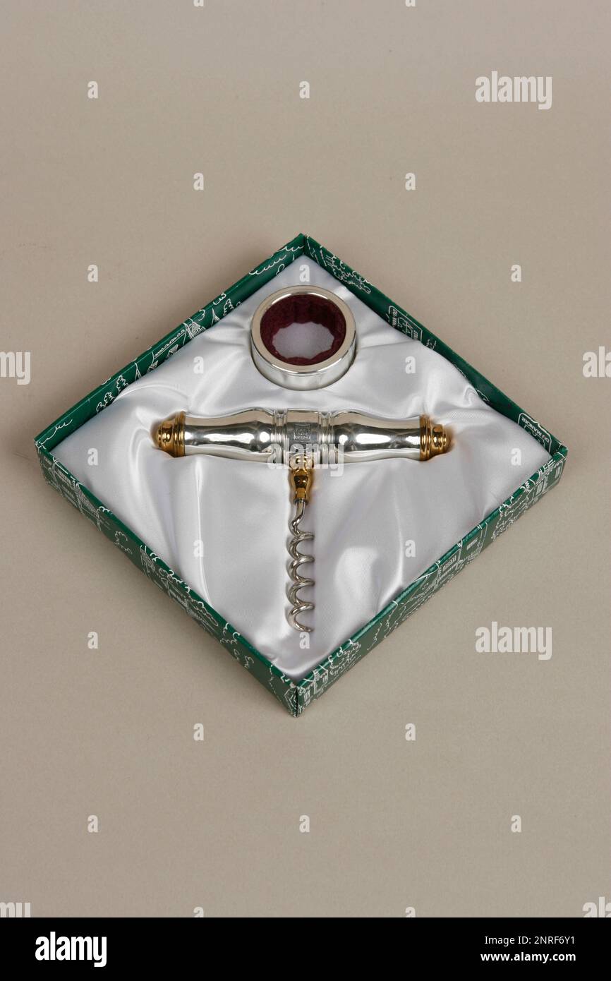 CONCORDEMANIA Foto Stock