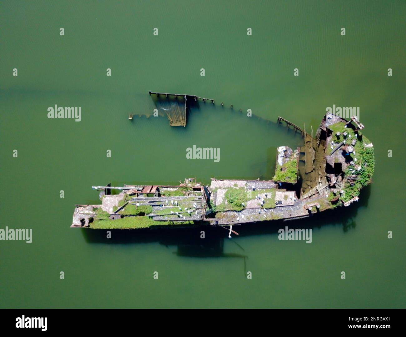 Naufragio di Sydney nel fiume Parramatta con sfondo verde Foto Stock