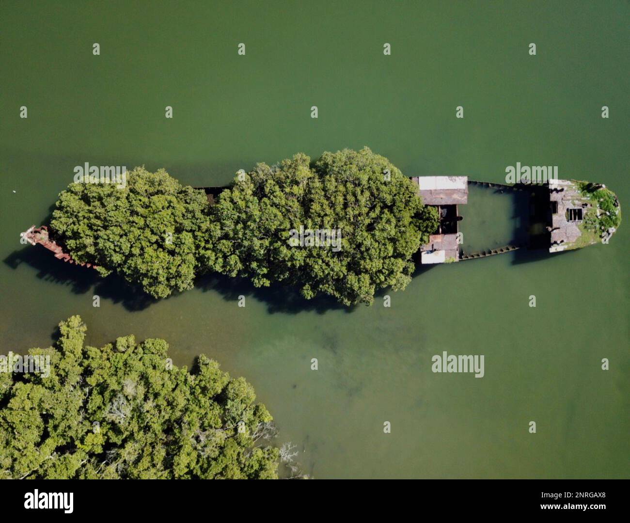 Naufragio di Sydney nel fiume Parramatta con sfondo verde. Foto Stock