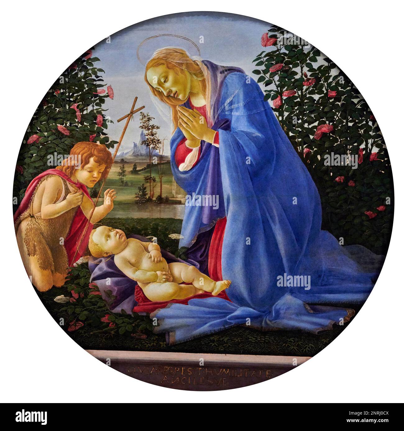 Madonna adornante il Bambino con S. Giovannino - tempera all’ uovo su tavola - Sandro Botticelli - XV secolo - Piacenza, Musei Civici di Palazzo fa Foto Stock