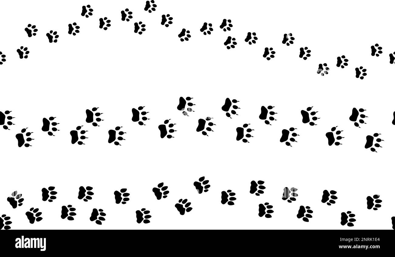 Le impronte degli animali tracciati senza cuciture. Gatto zampe nero footprint, vari gatto, ghepardo e tigre pista. Elementi decorativi gattino bordi vettoriali Illustrazione Vettoriale